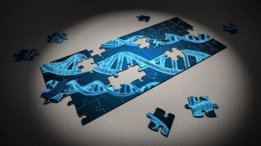 A partially-assembled jigsaw puzzle with a picture of DNA
