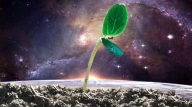 plant sprout with a planet and space background