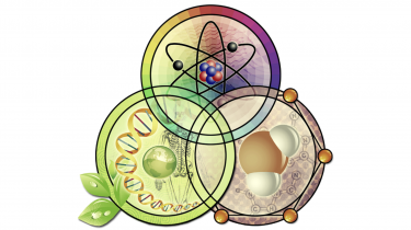 Clip art of three circles bearing DNA, an atomic structure, a water molecule, a human skeleton, and a globe
